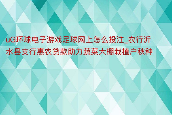 uG环球电子游戏足球网上怎么投注_农行沂水县支行惠农贷款助力蔬菜大棚栽植户秋种