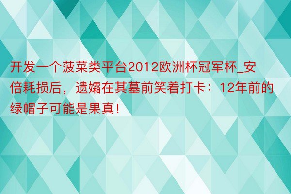 开发一个菠菜类平台2012欧洲杯冠军杯_安倍耗损后，遗孀在其墓前笑着打卡：12年前的绿帽子可能是果真！